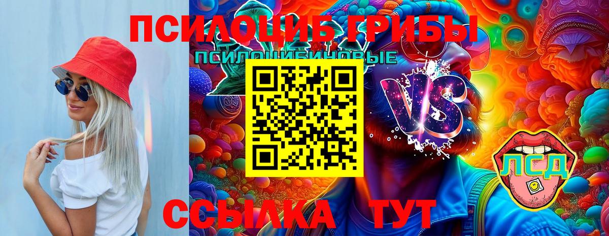 Тосно  Псилоцибиновые грибы мухоморы  Вход с VPN 